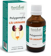 Load image into Gallery viewer, Polygemma 7, Urinary Tract, 50 ml, Plant Extract