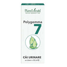 Load image into Gallery viewer, Polygemma 7, Urinary Tract, 50 ml, Plant Extract