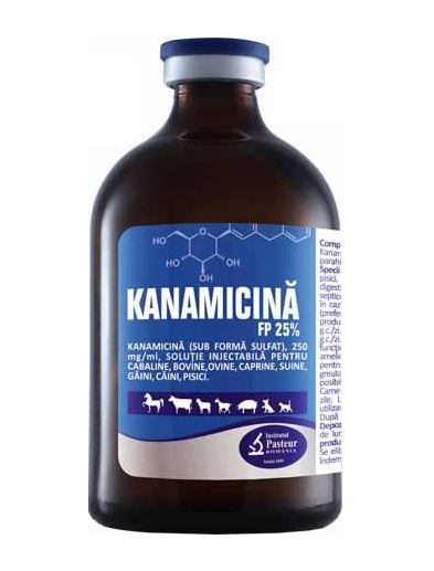 KANAMYCIN FP 25% Horses, cattle, pigs, goats, hens, dogs and cats - Trreatment of urogenital,respiratory and digestive infections