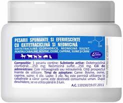 FOAMING AND EFFERVESCENT PESSARIES WITH OXYTETRACYCLINE AND NEOMYCIN-Horses, cattle, sheep, goats, pigs, dogs.